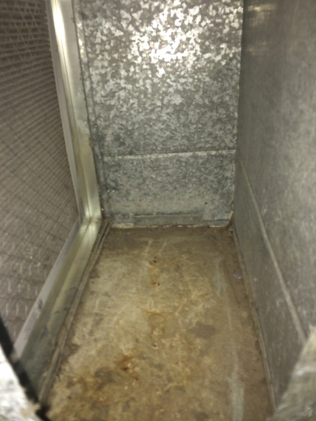 Clean supply trunk (after)